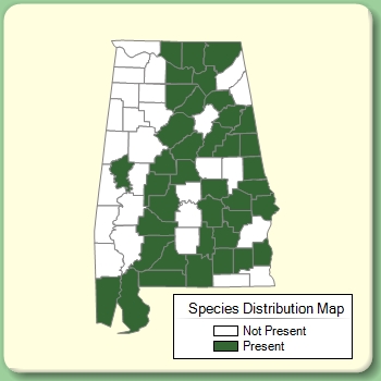 Species Distribution Map