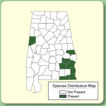 Species Distribution Map