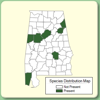 Species Distribution Map