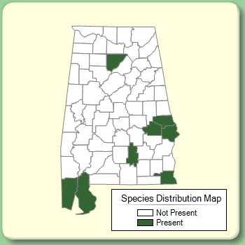 Species Distribution Map