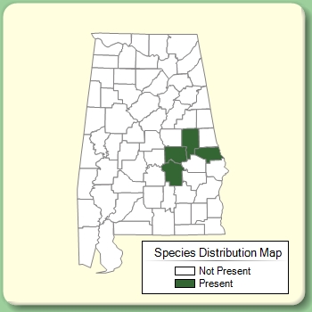 Species Distribution Map