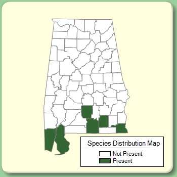 Species Distribution Map