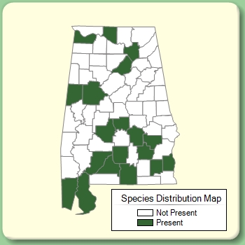 Species Distribution Map