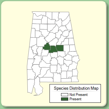 Species Distribution Map