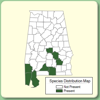 Species Distribution Map