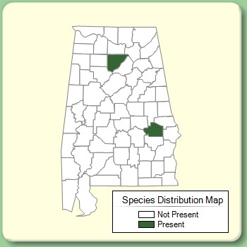 Species Distribution Map