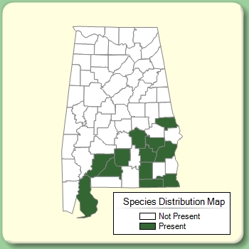 Species Distribution Map