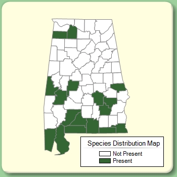 Species Distribution Map