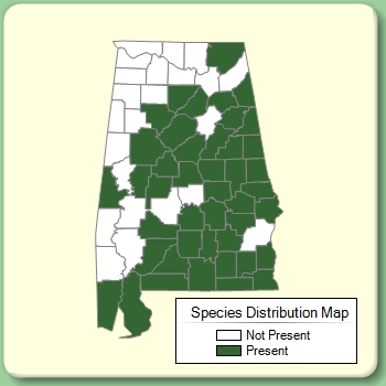 Species Distribution Map