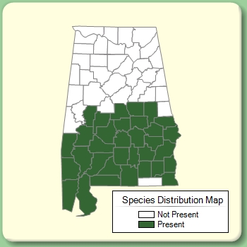 Species Distribution Map