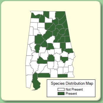 Species Distribution Map