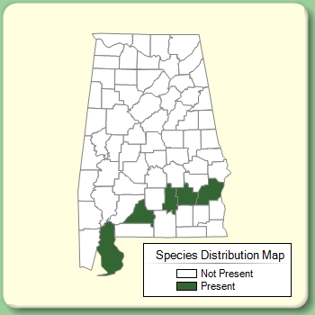 Species Distribution Map