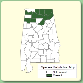 Species Distribution Map