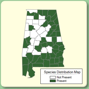 Species Distribution Map