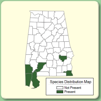 Species Distribution Map