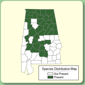 Species Distribution Map