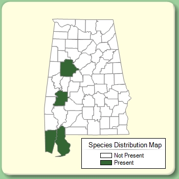 Species Distribution Map