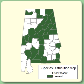 Species Distribution Map