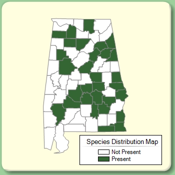 Species Distribution Map