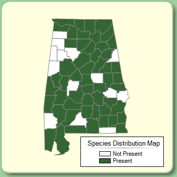 Species Distribution Map