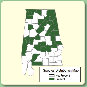 Species Distribution Map