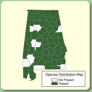 Species Distribution Map