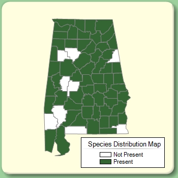 Species Distribution Map