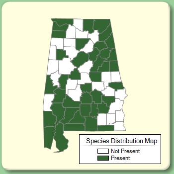 Species Distribution Map