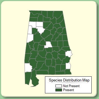 Species Distribution Map