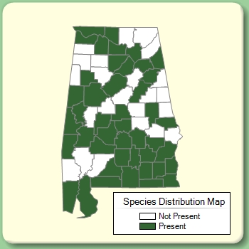 Species Distribution Map