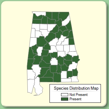 Species Distribution Map