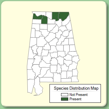 Species Distribution Map