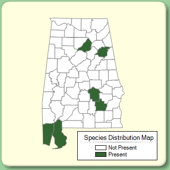 Species Distribution Map