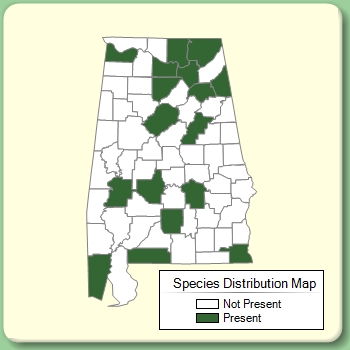 Species Distribution Map