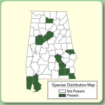 Species Distribution Map