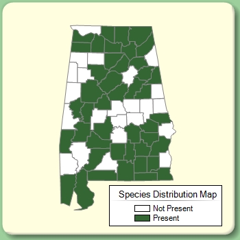 Species Distribution Map