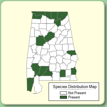 Species Distribution Map