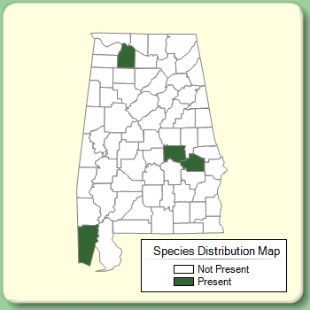 Species Distribution Map