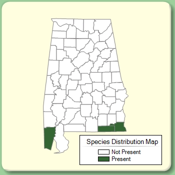 Species Distribution Map