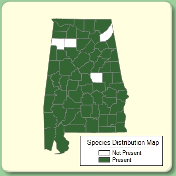 Species Distribution Map