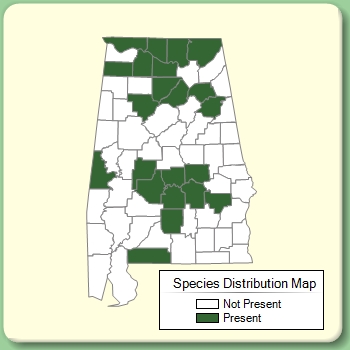 Species Distribution Map