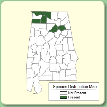 Species Distribution Map