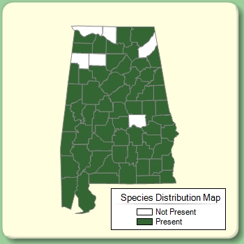 Species Distribution Map