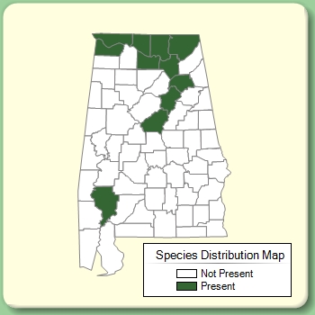 Species Distribution Map