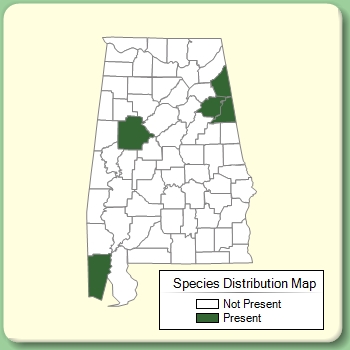 Species Distribution Map