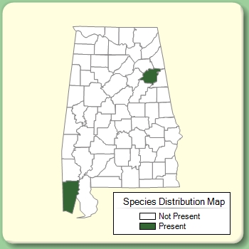 Species Distribution Map