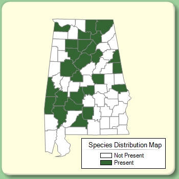 Species Distribution Map