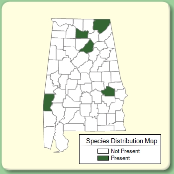 Species Distribution Map