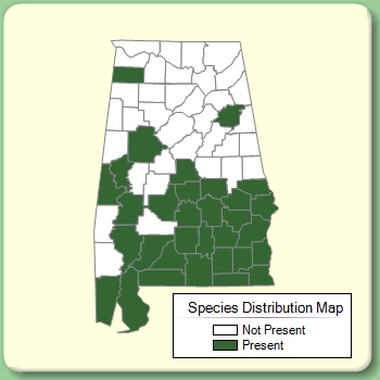 Species Distribution Map