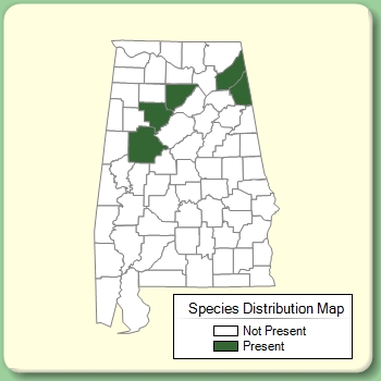 Species Distribution Map